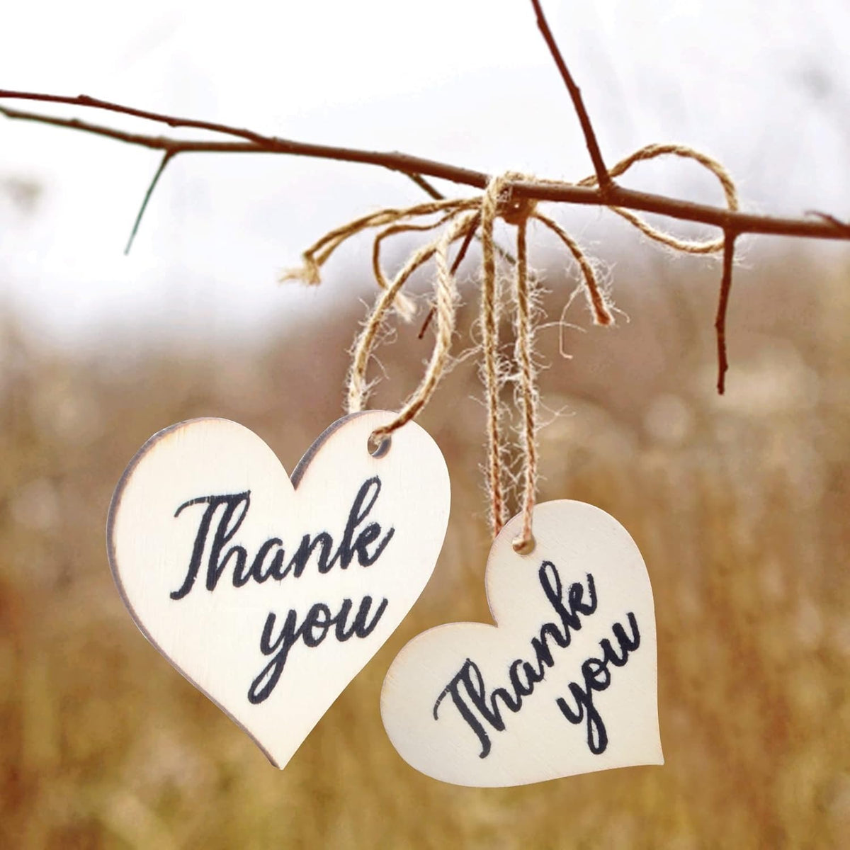 50pcs Heart Shape Wooden Slices Unfinished "Thank You" Wood Pieces Heart Wooden Gift Tags with Hole Hanging Ornaments with Twine for Party Christmas Valentine's Day Decoration