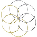6pcs 4 Inch Metal Hoops Metal Rings for Dream Catcher and Crafts(Gold and Silver)