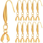 30pcs Gold Plated Stainless Steel Earring Hooks Hypoallergenic Ear Wire Buckle Fish Hooks with Pendant Clasp for DIY Dangle Earrings Jewelry Making Wedding Christmas Party Favor