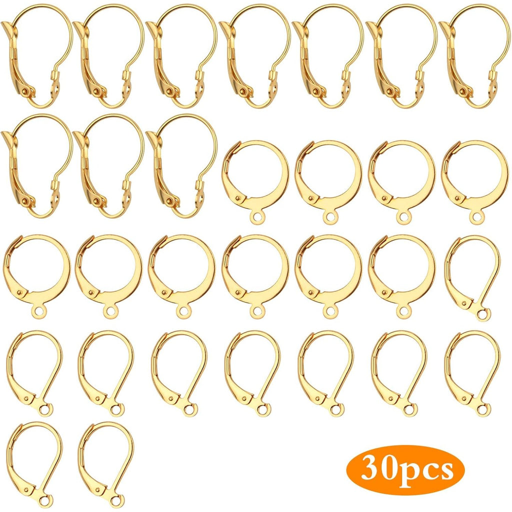 30pcs Stainless Steel Leverback Earrings Hooks: Round, Oval, Gourd - Silver