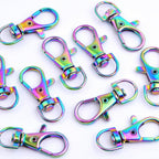 20 Pieces Swivel Clasps Lanyard Snap Hooks Alloy Lobster Clasp Trigger Clips Keychain Rings Accessories for DIY Handbag Purse Hardware Handmade Craft Projects, Rainbow Color