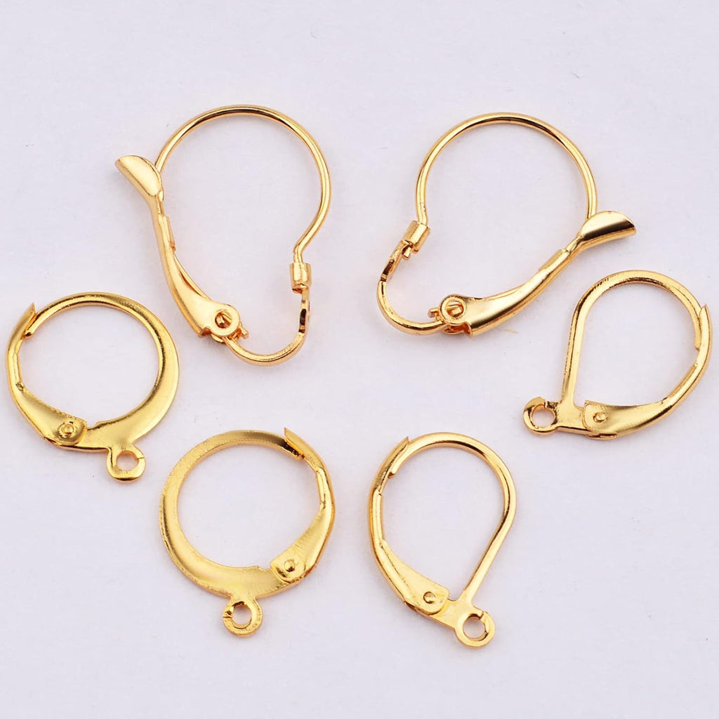 30pcs Stainless Steel Leverback Earrings Hooks: Round, Oval, Gourd - Silver